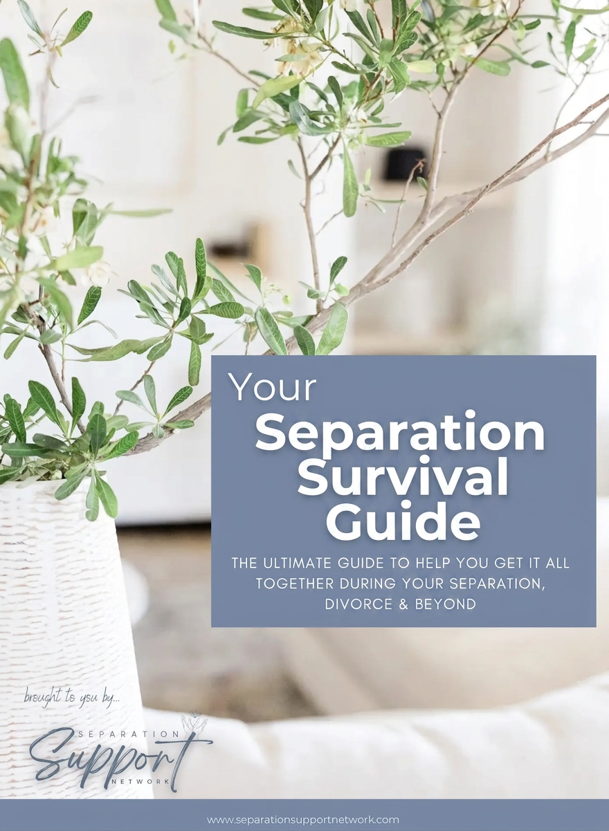 Separation Survival Guide cover